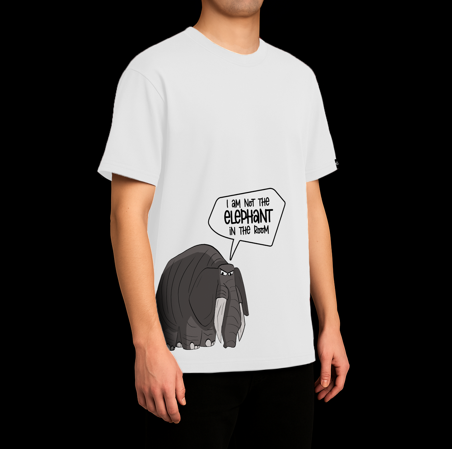 Elephant in the room